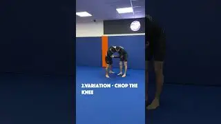 No Gi Judo Sequence