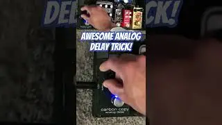 MXR Carbon Copy Analog Delay - #guitartutorial  #guitar #effects