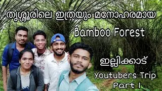 ഇല്ലിക്കാട് Bamboo Forest | Youtubers Trip-Part1| Bamboo Research Institute | Vellarampadam |AVVlogs
