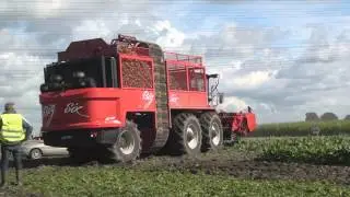 Agrifac Big Six sugar beet harvest Trekkerweb