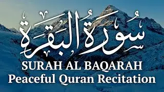 Slow & Peaceful Quran Recitation 🌙 | Snowy Night Ambience | Deep Meditation