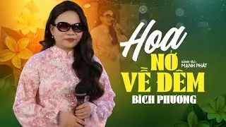 Hoa Nở Về Đêm - Bích Phương - Giọng Hát Cô Gái Mù Lay Động Lòng Người