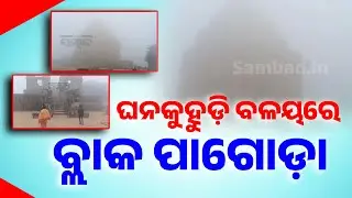 Dense Fog Engulfs Sun Temple In Konark | Sambad