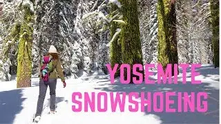Yosemite Winter Activities at Badger Pass | Snowshoeing Yosemite National Park