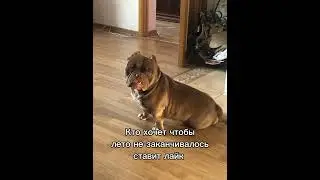 Кто хочет чтобы лето не заканчивалось? 💖 #shorts
