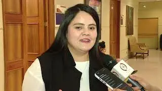 Familia aprueba proyecto que proh&iacute;be maternidad subrogada
