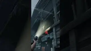 FLASHLIGHT!!!! ATTACK!!!! #dbd #flashlight #survivor #doubleteam #thehuntress #swf #funny