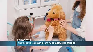 EARLY YEARS: The Pink Flamingo Play Cafe opens in Forest