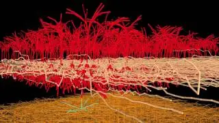 Evolved Machines  Synthesis of a cortical area