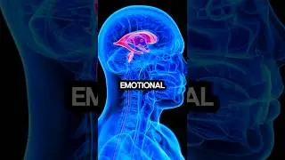 Что произойдет, если пить ромашковый чай каждый день?