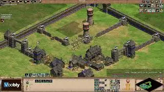 Voobly AOE2 1.6: Арена, поляки против куманов