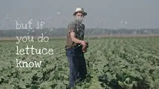 Garden Month 2020 | Stay Safe Stay Home | Gardening | Seed Processing, Packing | Jam Jam Group