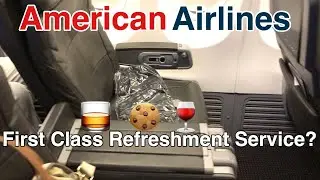 American Airlines Domestic First Class Flight Review | Boeing 737-800 | LAX-ORD
