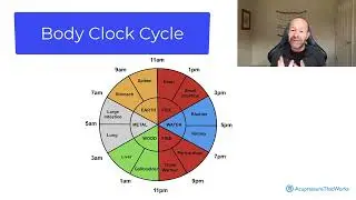 12. Circadian Rhythm in Chinese Medicine - Part 1