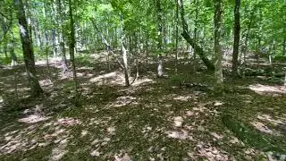 Video of Chinnabee Silent Trail Backcountry Site 4, AL from Asher K.