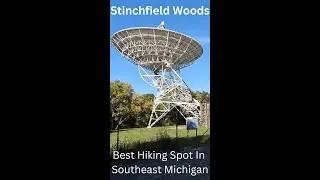 My Favorite Hike in Southeast Michigan - Stinchfield Woods