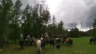 Another fun spring/ summer horse ride!