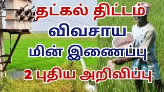 Tatkal agriculture electricity connection 2025-26 | TNEB TATKAL agriculture 3phase scheme 2025-26...