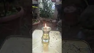 Bitkileri Soğuktan Korumak Bu Y&ouml;ntemle &Ccedil;ok Kolay