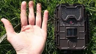 WIN Bushnell Trophy Cam Aggressor HD (No-glow)