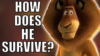 The Madagascar Plotline That Makes Zero Sense