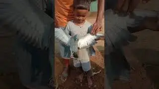 #sad like #subscribe short# viral public #mood off 😭😭😭😭😭