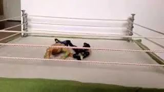 Wwe figure royal rumble part 1