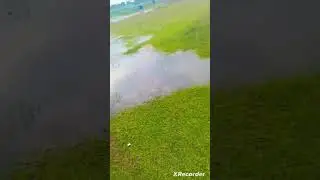 Pani ka chasma