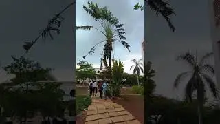 Sandip University Nashik Maharashtra..