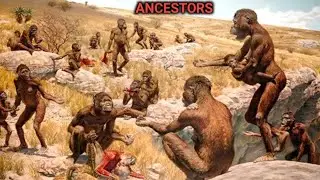 Evolution of human and origin | Primary Ancestors Survival History Million Years Ago |
