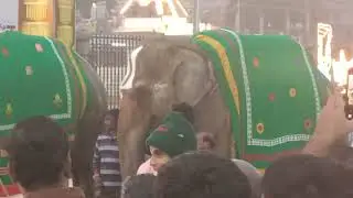 వైకుంఠ ఏకాదశి  సాయంత్రం తిరుమలలో 