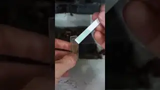 Eating cherry seeds can kill you!! 🤮 #science #experiment #cyanide