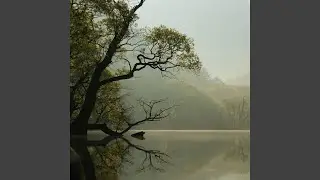 Wave of Life