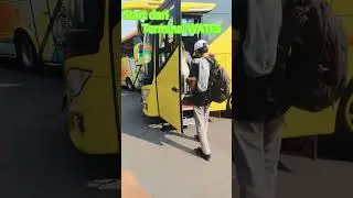 Bus Tividi Gold Class #shorts
