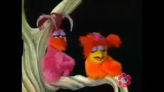 The Muppet Birds on BabyFirstTV (Imagination Lane)