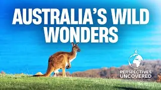 Exploring Australia's Unique Wildlife: The Outback, Ancient Rainforests & Great Barrier Reef 🦘🌿🐠