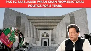 Pakistan's poll panel bars Imran Khan from contesting elections  WION World DNA
