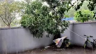 Delhi ki Barish Ne Jaan Bacha li | Garmi se pareshan #Shorts