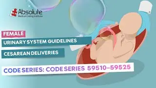 Urinary System (Female) — Cesarean Delivery Coding (Guidelines) [Code Series: 59510–59525]