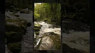 Wild but Powerful River in Cornwall | Stunning Nature & Untamed Beauty