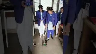 ATL Activity based on Motion (Linear Motion) #aimtoinnovate
