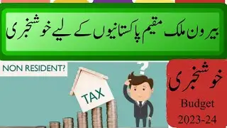 Good News for Overseas Pakistanis | News