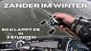 12 Zander in 3 Stunden - so fängst du Zander im Winter