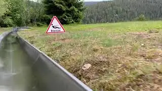 Sommerrodelbahn Poppeltal: Adrenalin und Sicherheit