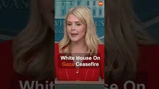 Israel Accepts 60-Day Gaza Ceasefire: White House | Breaking News