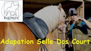 Adaptation Selles Dos Cours