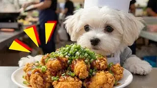 🐶귀여운 치킨 요리사 등장🍖✨