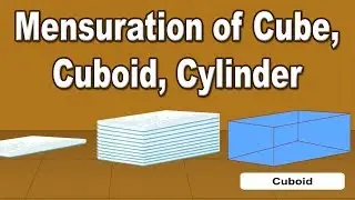 Volume of a Cube and Cuboid | 9th Std | Mathematics | ICSE Board | Home Revise