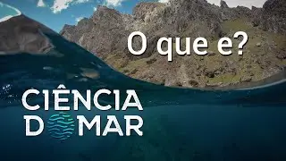 O que &eacute; o Canal Ci&ecirc;ncia do Mar?