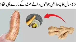 Milk & Whole Coconut Dessert Recipe | Winter Special Coconut Sweet | Healthy Energy Boosting Dessert